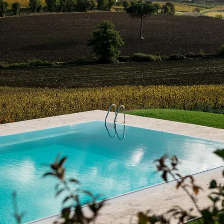 Borgo Syrah Cortona
