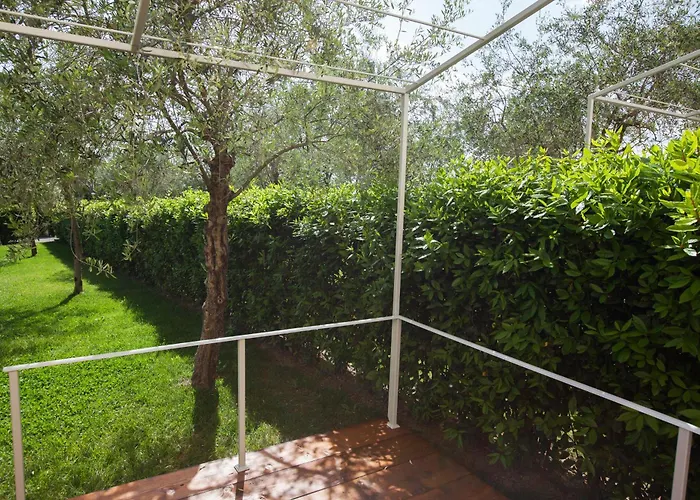 Borgo Syrah Кортона