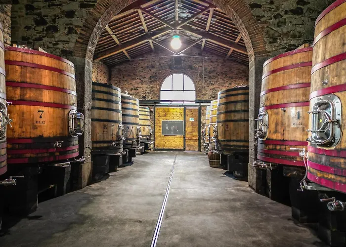 Feriested Borgo Syrah